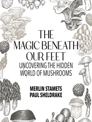 cover image of The Magic Beneath Our Feet